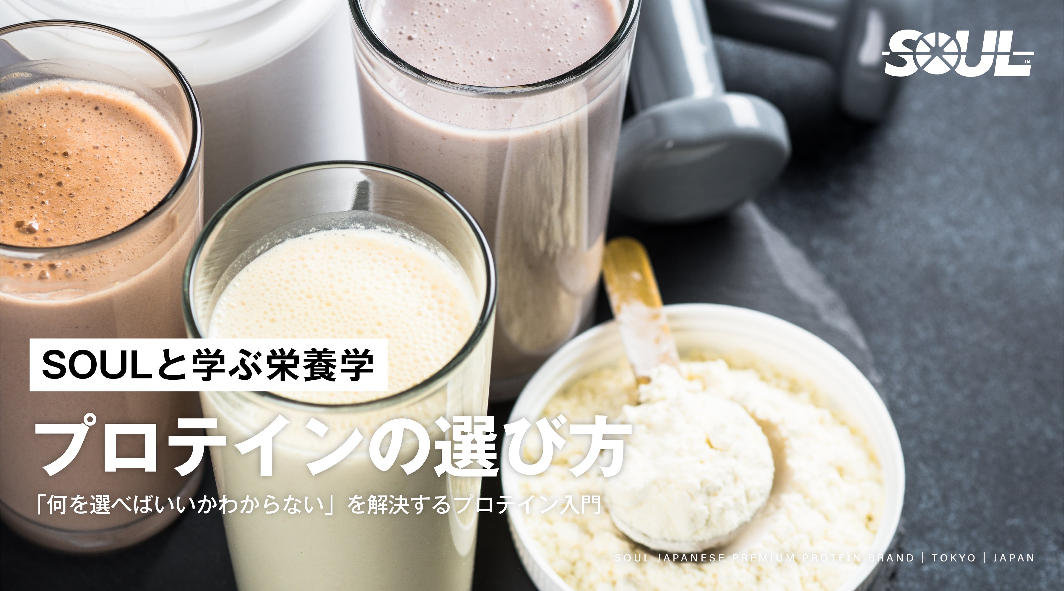 プロテインの選び方